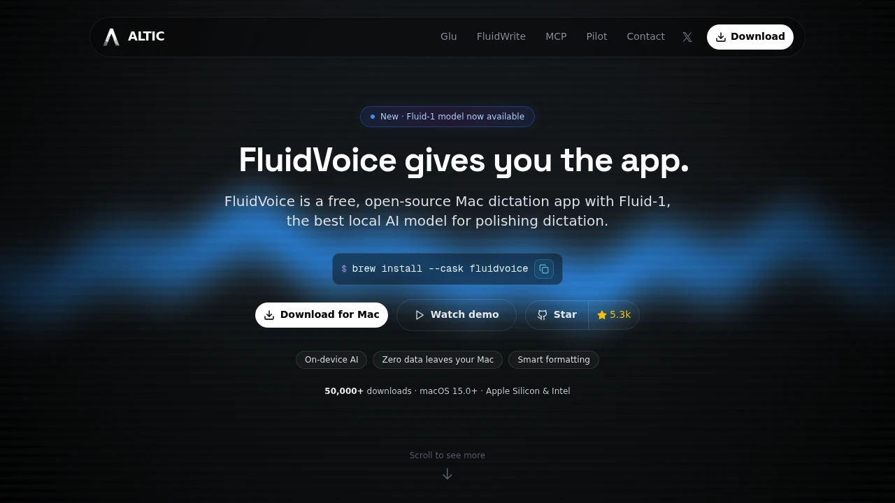 FluidVoice product preview