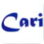 Caricaturer IO logo